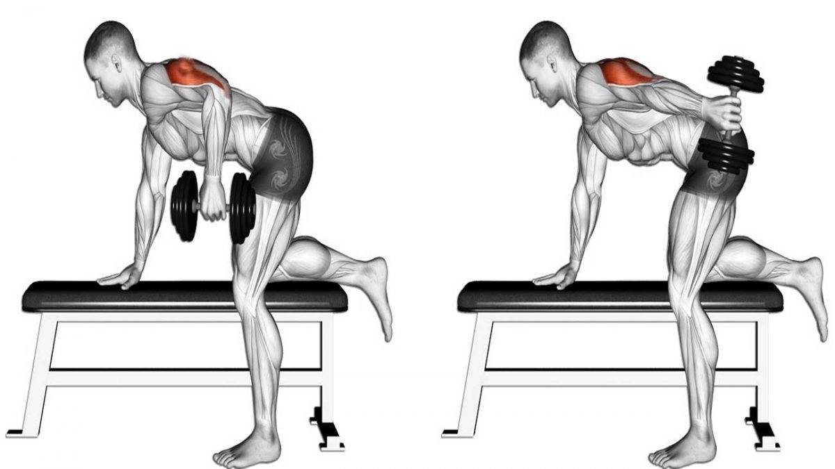 Triceps